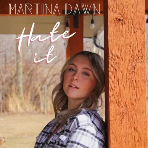 hate-it-single-art